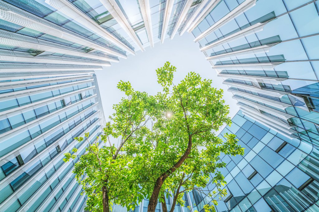 Upward perspective of bright green tree growing in the center surrounded by buildings