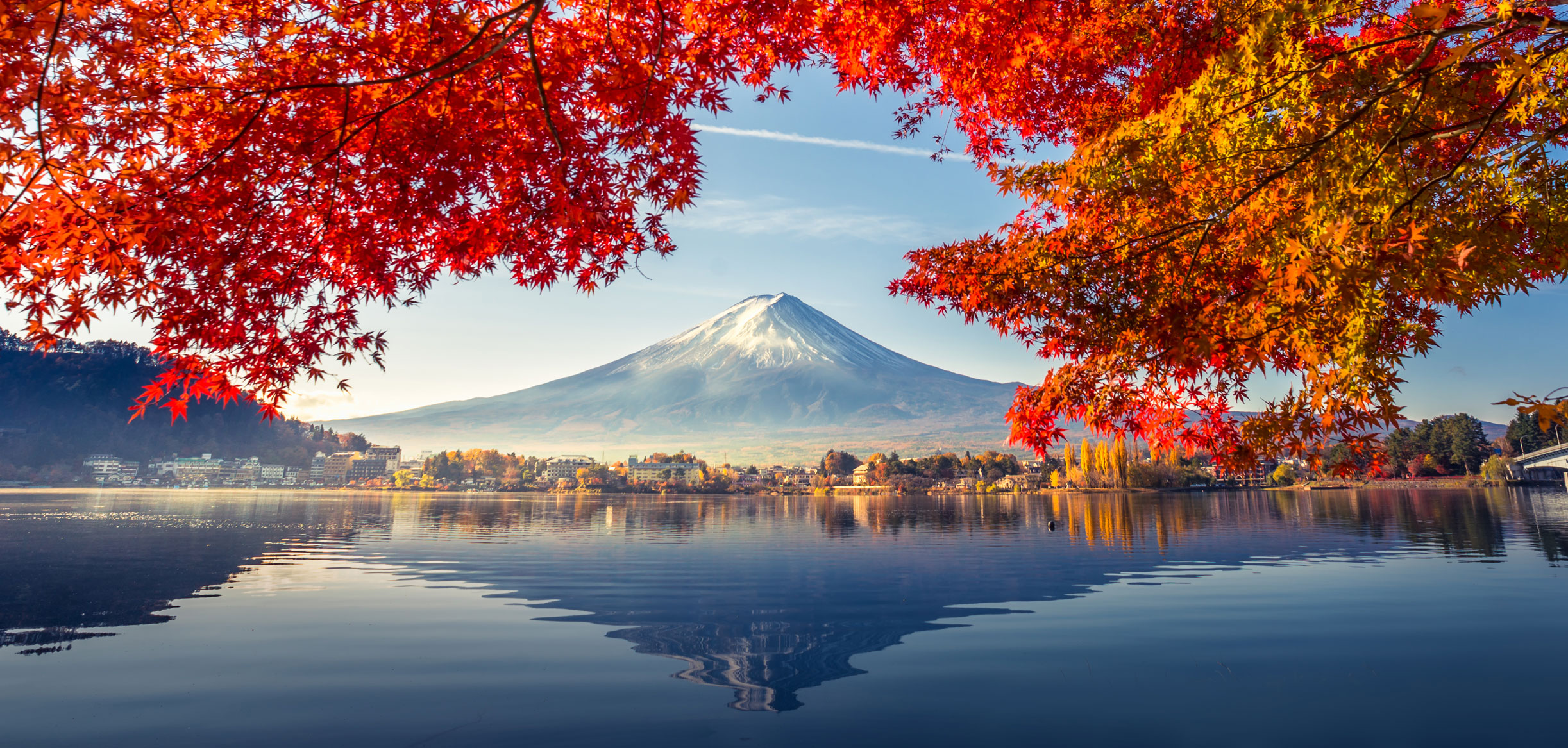 Mount Fuji, Japan with red, orange, yellow leaves tree.