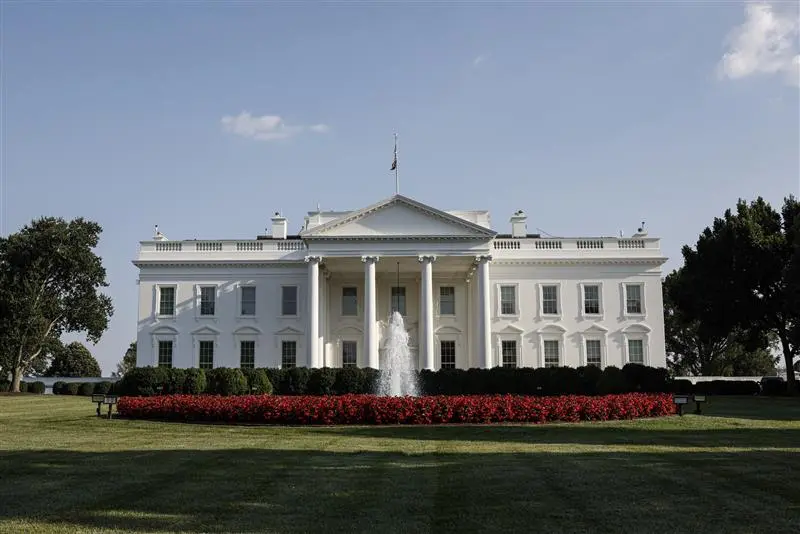 What Energy Transition Investors See in Trump’s Policy Agenda