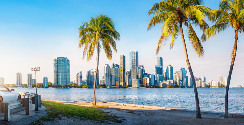 Miami Consumer Conference