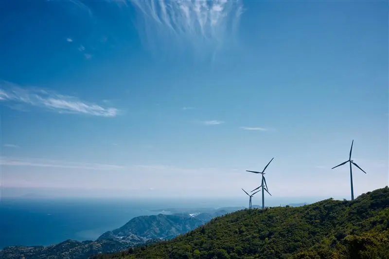 How Can Companies Commercialize the Japanese Energy Transition?